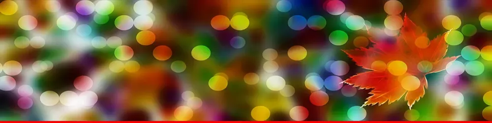 Giới thiệu về Hưng Phát